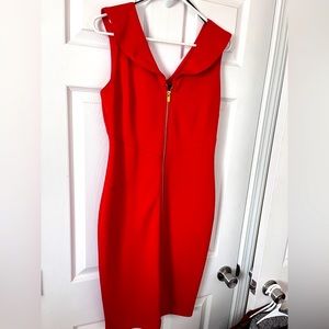 Red Dress/Gold Zipper
